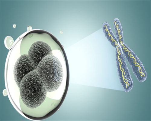集爱捐卵试管_供精试管,抚州做试管之前试管准备有哪些?