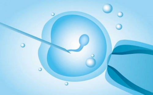 供卵试管费用_供卵上试管,美国试管医院排名中国十大试管婴儿排名