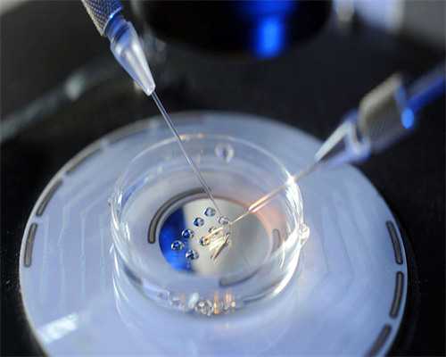 试管选男孩_三代供卵试管,北京试管捐卵试管供卵试管公司促排最多可连促几个