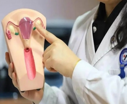 广州金贝供卵试管婴儿_金贝供卵怎么样多钱|石家庄供卵机构排名最新公开附