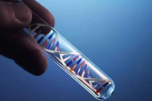 供精泰国试管婴儿费用-供卵试管婴儿