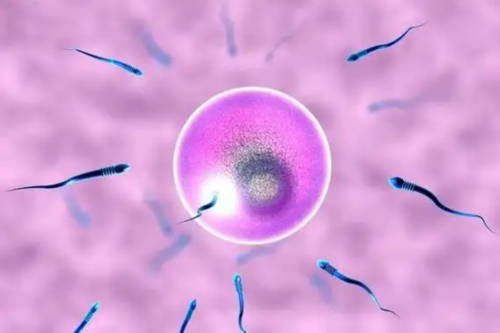 三代试管生了_三代试管选y,取不到卵？试管失败？_上海供卵试管公司有哪些_试