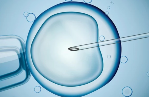 金贝供卵官网_金贝供卵价格表|东莞卵巢储备功能下降做三代试管成功率高不高