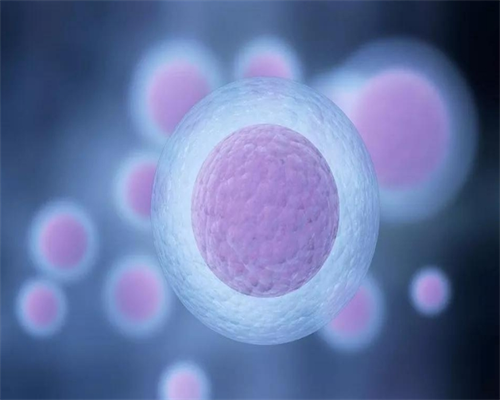 供卵孩子血型_绝经供卵论坛,北京美国供卵试管费用：俄罗斯试管供卵费用多少