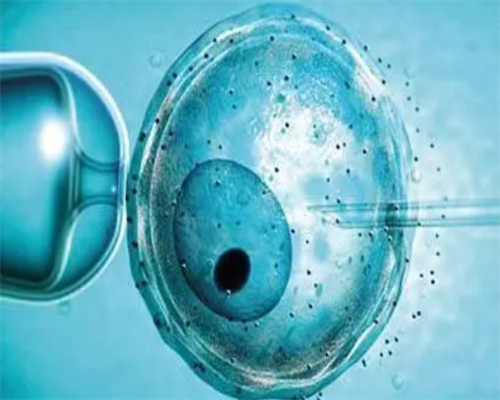 金贝供卵医院合法吗_广州金贝供卵生殖中心地址|广西供卵的私立机构靠谱推荐