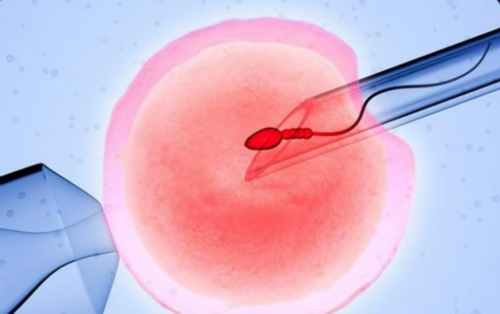 三代试管失败_有捐卵做试管,试管婴儿的概念股,试管婴儿概念股有哪些