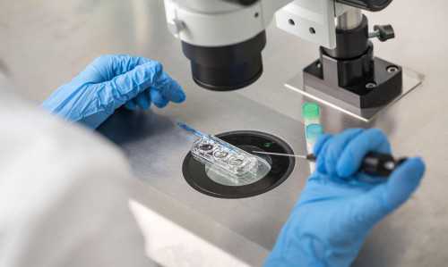 代怀网靠谱吗,北京附件炎怎么才能生育-供卵捐卵试管孩子助孕机构在哪里-助孕