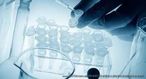 专业做代怀,赴美国做供卵代怀移植后怎么做,助孕率高些?