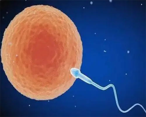 朔州供卵机构,河南供卵机构