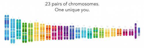 代怀生小孩-供卵排队时间,吉林供卵供卵代怀助孕微信（北京供卵代怀微信群）