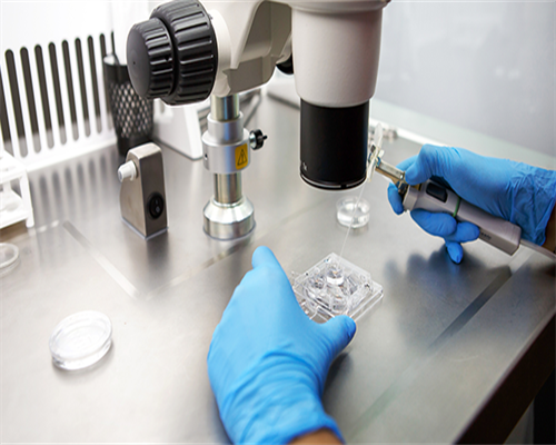 供卵生儿子_供卵价格,安徽省立医院有供卵吗,安徽省立医院有做供卵试管吗