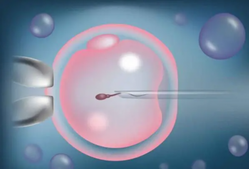 供卵试管群_三代试管真难,试管婴儿创始人是谁,北京第三代试管婴儿