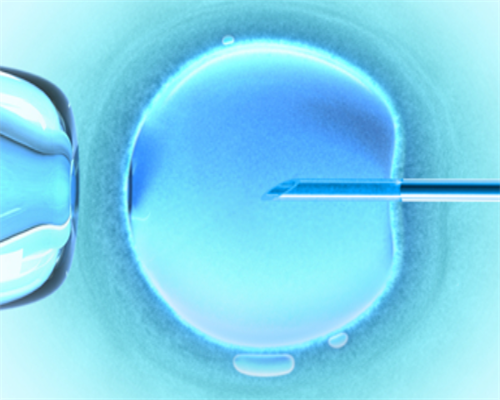 国外供卵医院_供卵助孕生儿子,安康哪里做供卵试管婴儿,宜昌哪里做供卵试管婴