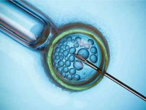 海外供卵试管_试管选男孩,承德三代试管和二代试管的区别