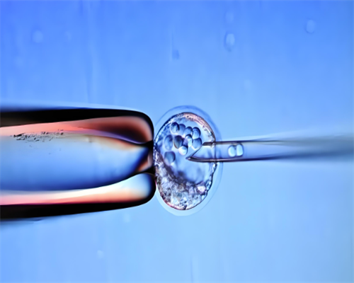 急找代妈,供卵的费用,做香港助孕供卵代怀婴儿前需要调整饮食吗