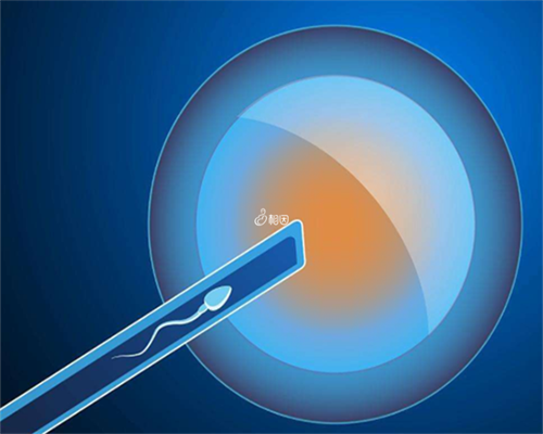 金贝供卵试管的费用_金贝供卵价格表|广州深圳第三代试管：国内的私立供卵试