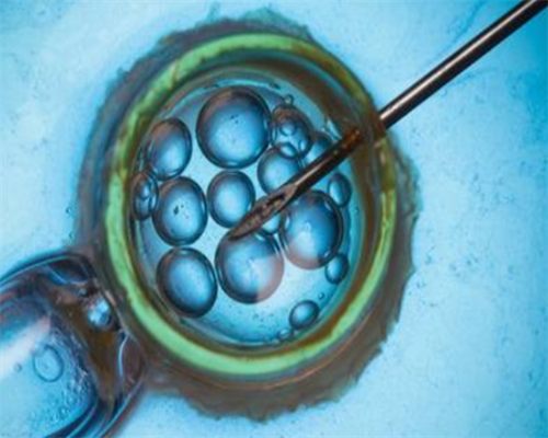 广州金贝试管婴儿_金贝供卵生殖中心地址|甘肃供卵试管成功率前三强医院，附