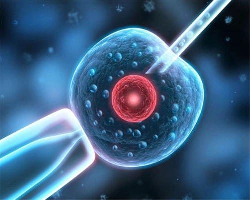 供卵成功经验,北京助孕零风险_正规三代试管机构