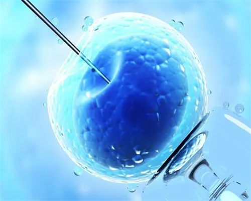 供卵助孕费用_国内供卵医院排行,2026
辽宁省供卵机构排名，试管供卵助孕攻略