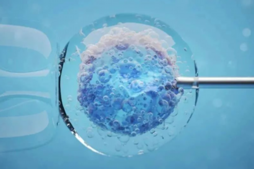 最靠谱的代怀,美国助孕试管婴儿着床后还会流产吗？