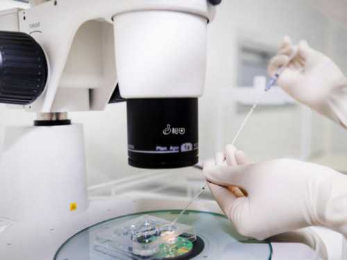 试管取卵捐卵_泰国试管捐卵,新乡试管婴儿,助孕试管婴儿