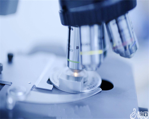 靠谱的代怀公司,有哪些疾病不能做淮北助孕试管婴儿