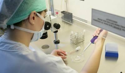 试管价格表_高鹰供卵试管,北京三代试管供卵捐卵试管机构-试管婴儿成功率受那