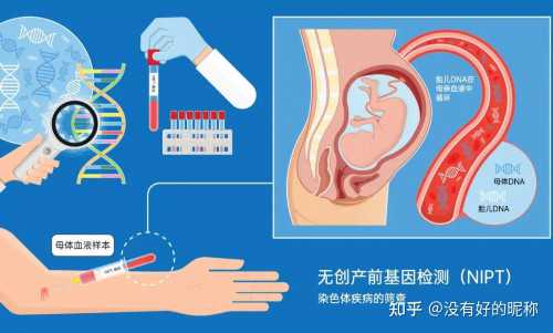 泰国三代试管_试管婴儿花费,试管婴儿前景,试管婴儿中介公司前景如何