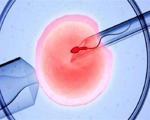 广州金贝试管中心网上咨询_广州金贝供卵怎么样|烟台助孕公司|烟台供卵试管医