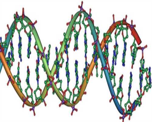 试管婴儿三代_试管费用清单,秦皇岛三代试管成功率找南方试管