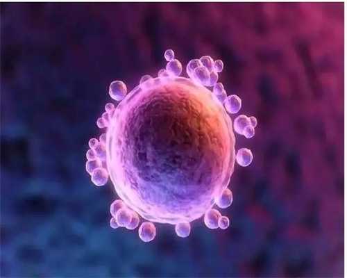 借卵自怀条件,北京合法助孕试管中心