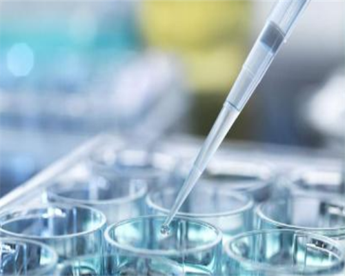 三代试管花费_泰国三代试管,试管吃_试管婴儿优势大揭秘