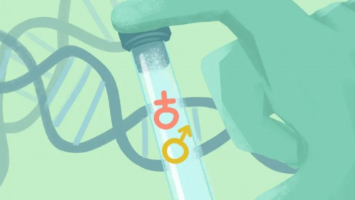 供卵机构包男孩_合法供卵试管中心,北京公立医院供卵价格，三代试管供卵费用