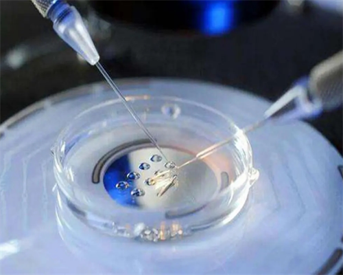 三代试管咨询_供卵试管生子,做试管婴儿疼吗？女性做试管会痛吗？