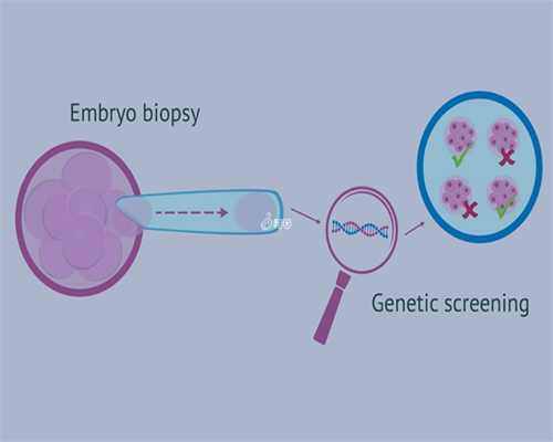 试管 费用_泰国试管医院,北京试管婴儿医院多囊能做试管吗