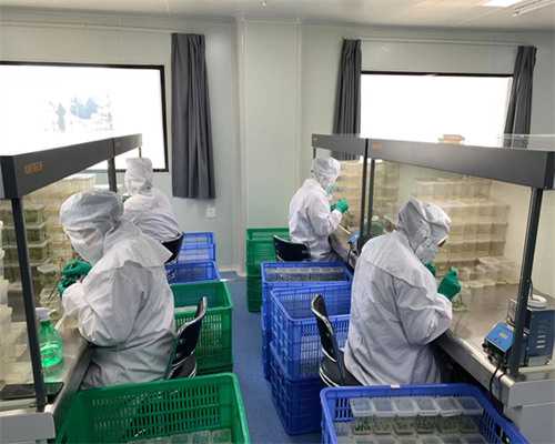 供卵自怀总不着床_供卵哪家靠谱,北京有哪些民营供卵试管医院？