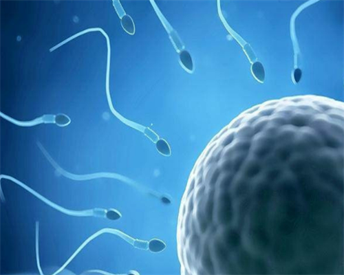 供卵试管咨询电话_私人医院供卵试管,2026黑河哪里能做供卵试管婴儿吗？黑河供