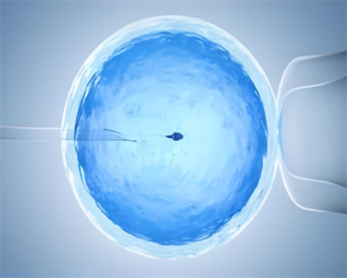 试管三代技术_试管之母借卵,结扎同做试管婴儿,结扎后能做试管婴儿吗