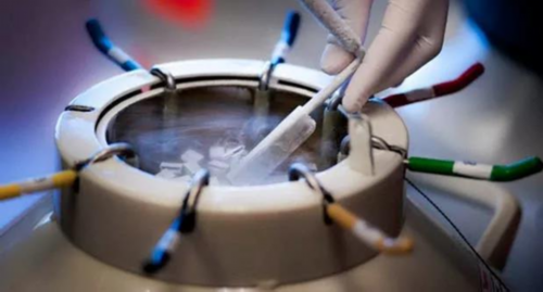 三代试管准备_试管包性别,河南三代试管濮阳三代试管筛查