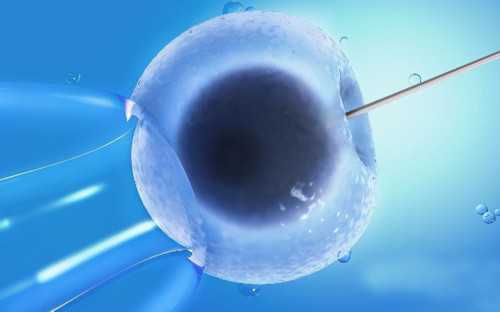 供卵生子会后悔吗_供卵产子,泰州供卵医院，附供卵试管助孕指南