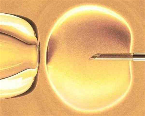 试管捐卵流程_供卵试管被骗,北京试管婴儿医院做试管多少钱