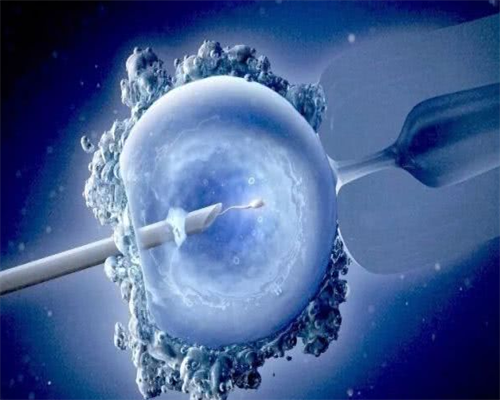 试管供卵选性别_有合法供卵吗,新疆供卵助孕机构排名一览！2026三代供卵生男孩