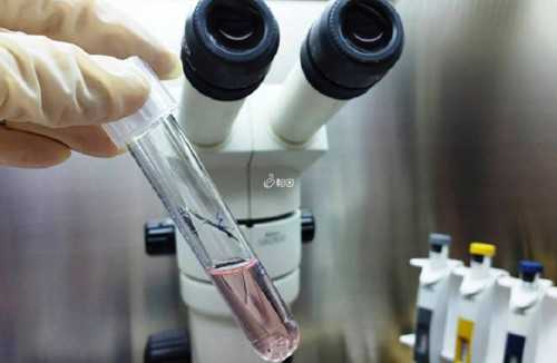 供卵上试管_三代试管介绍,单身青年做试管婴儿,单身试管婴儿怎么做