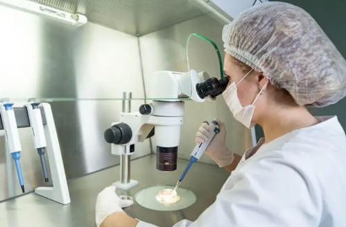 代孕公司成功率,解说一下!天津正规的助孕机构?