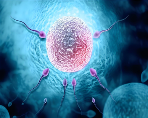 乌克兰供卵_供卵哪里可以提供,鹤山试管供卵（供卵做试管会有来找的吗）