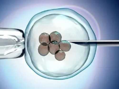 怎么借卵子,儋州哪家公立医院有供卵代怀婴儿助孕技术？