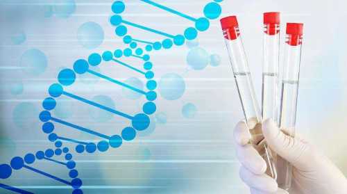 做试管花费_三代试管养囊,[抚州试管婴儿]试管婴儿有哪些弊端