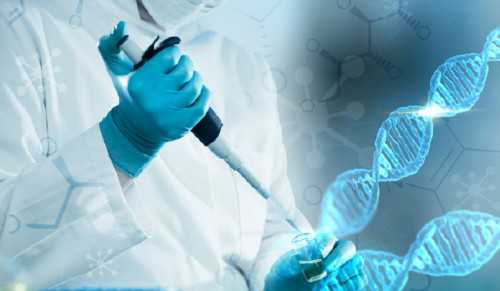 正规供卵试管_试管供卵多钱,襄阳*卵试管女性做试管要考虑这些