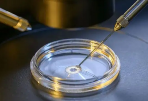 怀孕了如何判断性别？什么时候能确定胎儿性别？