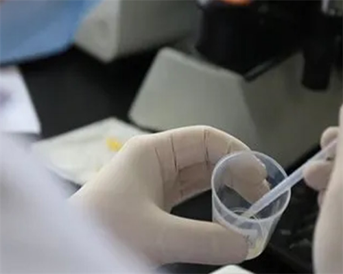 海外供卵试管_试管选男孩,想做试管婴儿的前期准备和检查？-深圳第三代试管